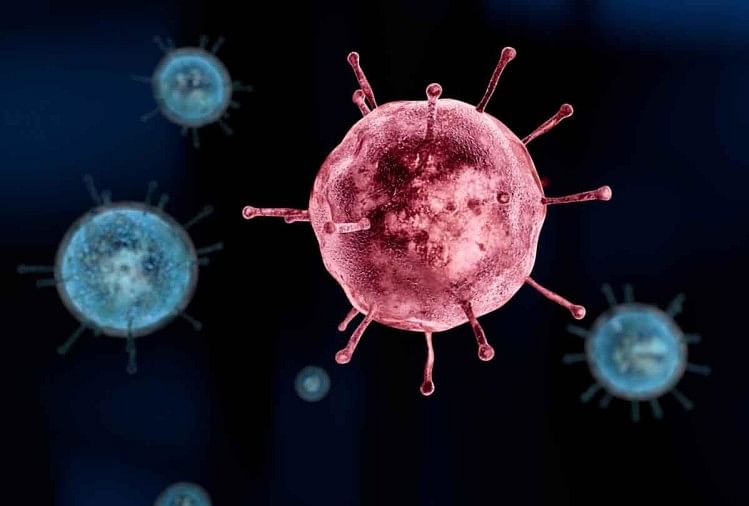 Corona Update: 839 infected in Haryana and 271 in Punjab, fast growing virus, be careful