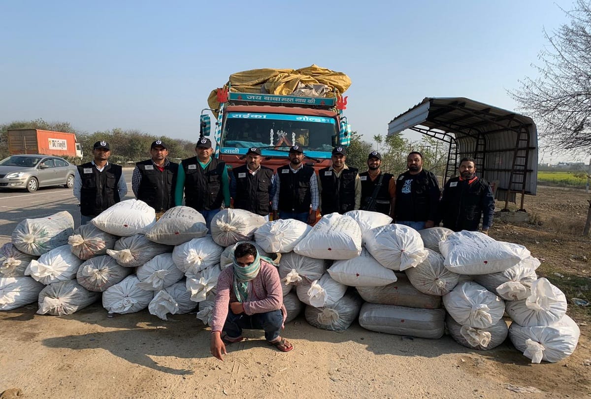 STF recovered huge amount of hashish in rohtak