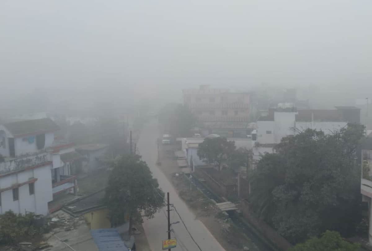 Heavy fog and cold wave in Gorakhpur