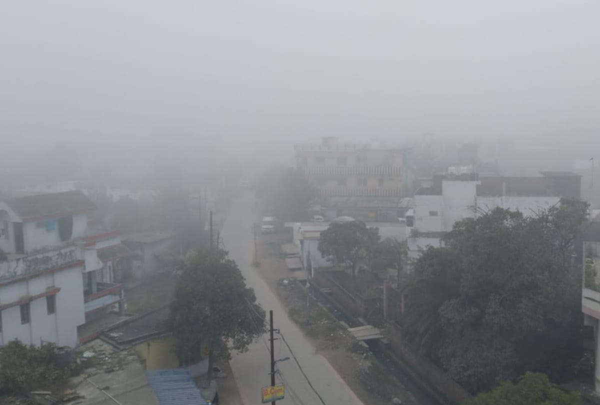 Heavy fog and cold wave in Gorakhpur