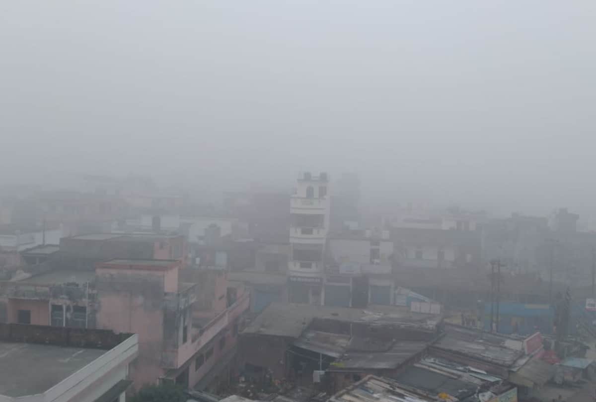 Heavy fog and cold wave in Gorakhpur