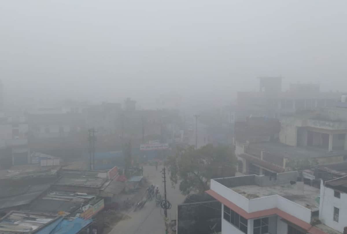 Heavy fog and cold wave in Gorakhpur