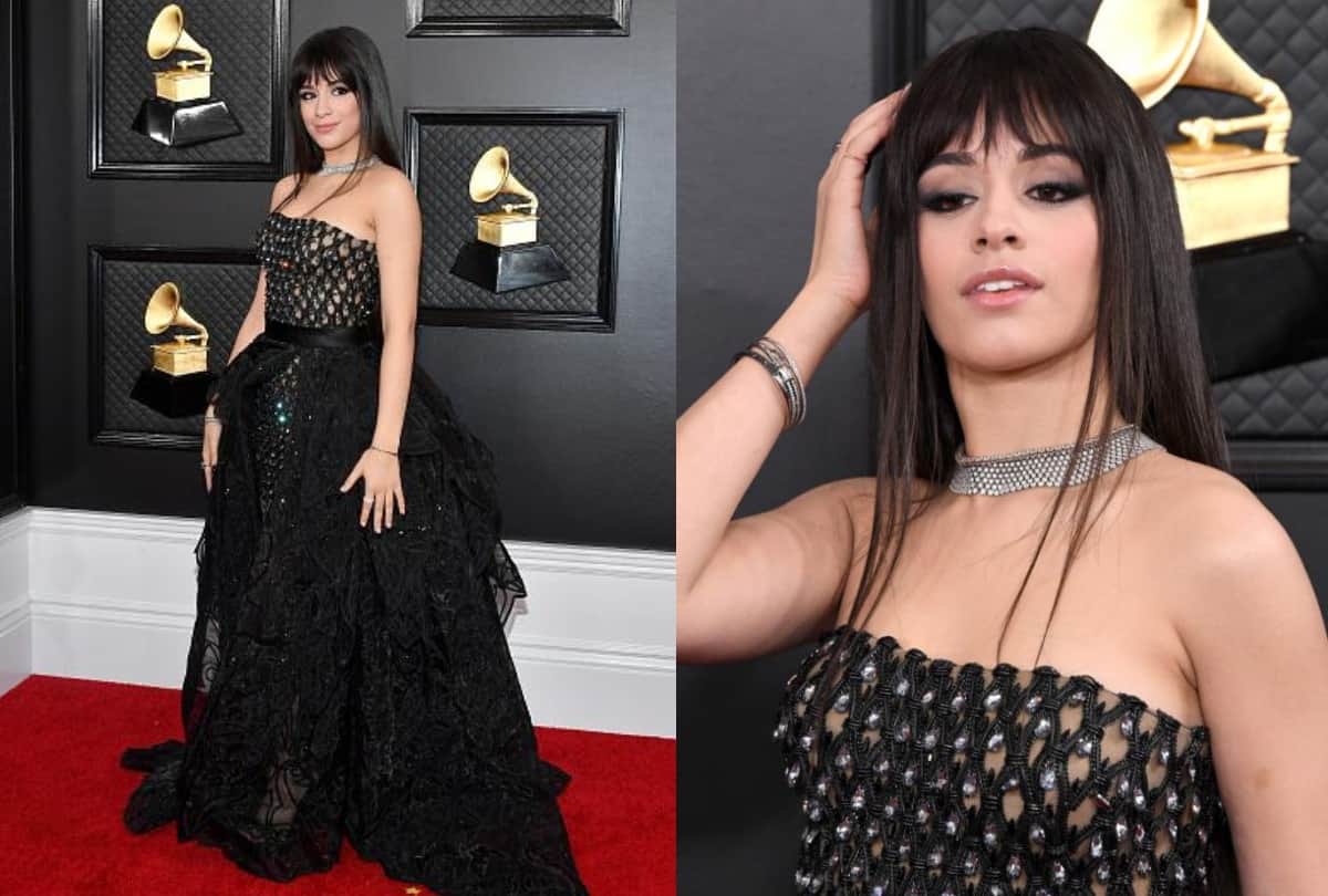 Grammy Awards 2020: See Pics of Sophie Turner To Ariana Grande celeb outfits
