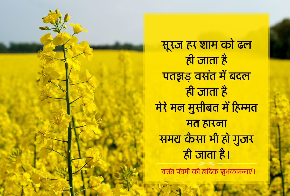 happy vasant panchami 2021 wishes images whatsapp status greetings messages shayari wallpapers