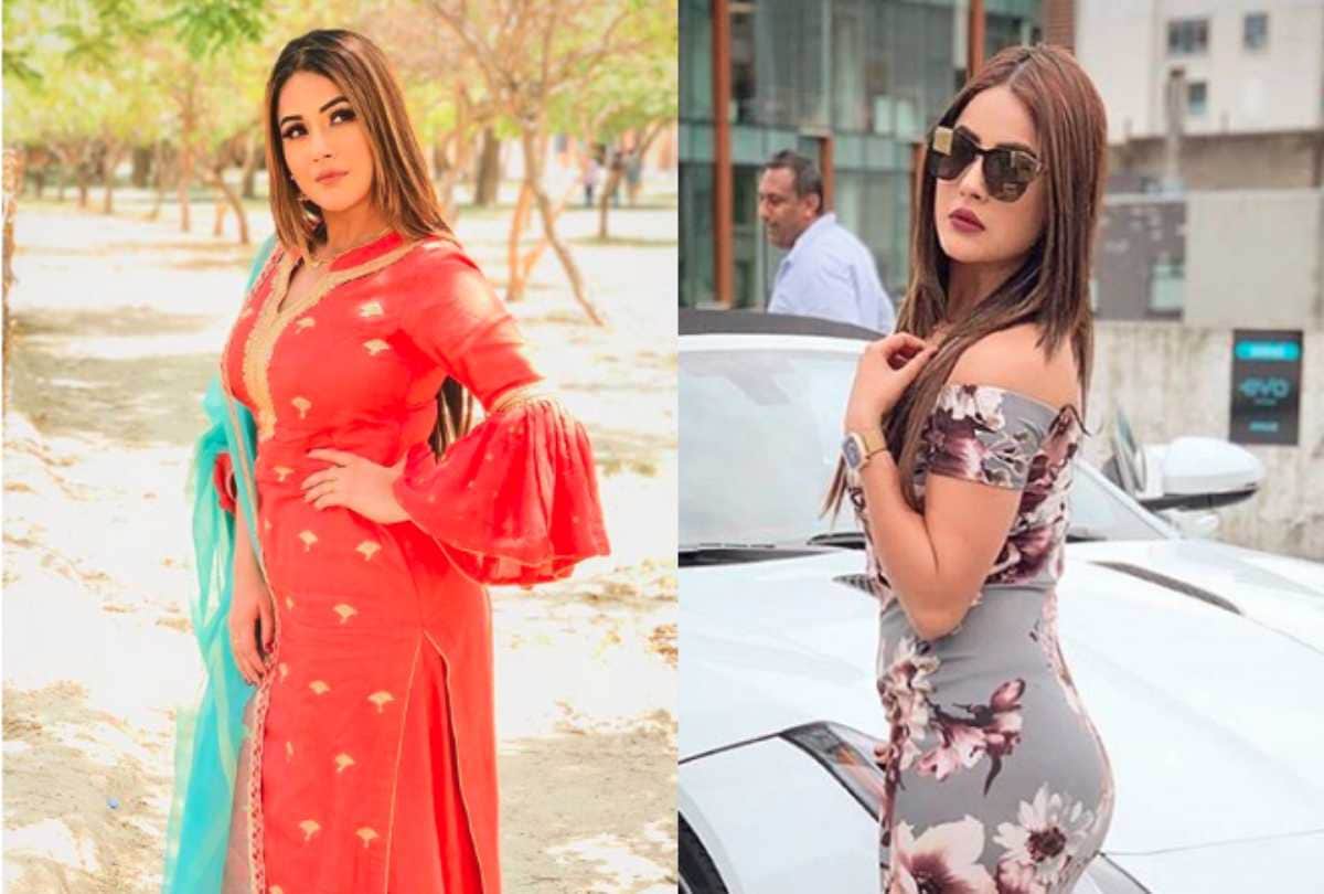 bigg boss 13 contestant shehnaz kaur gill birthday special