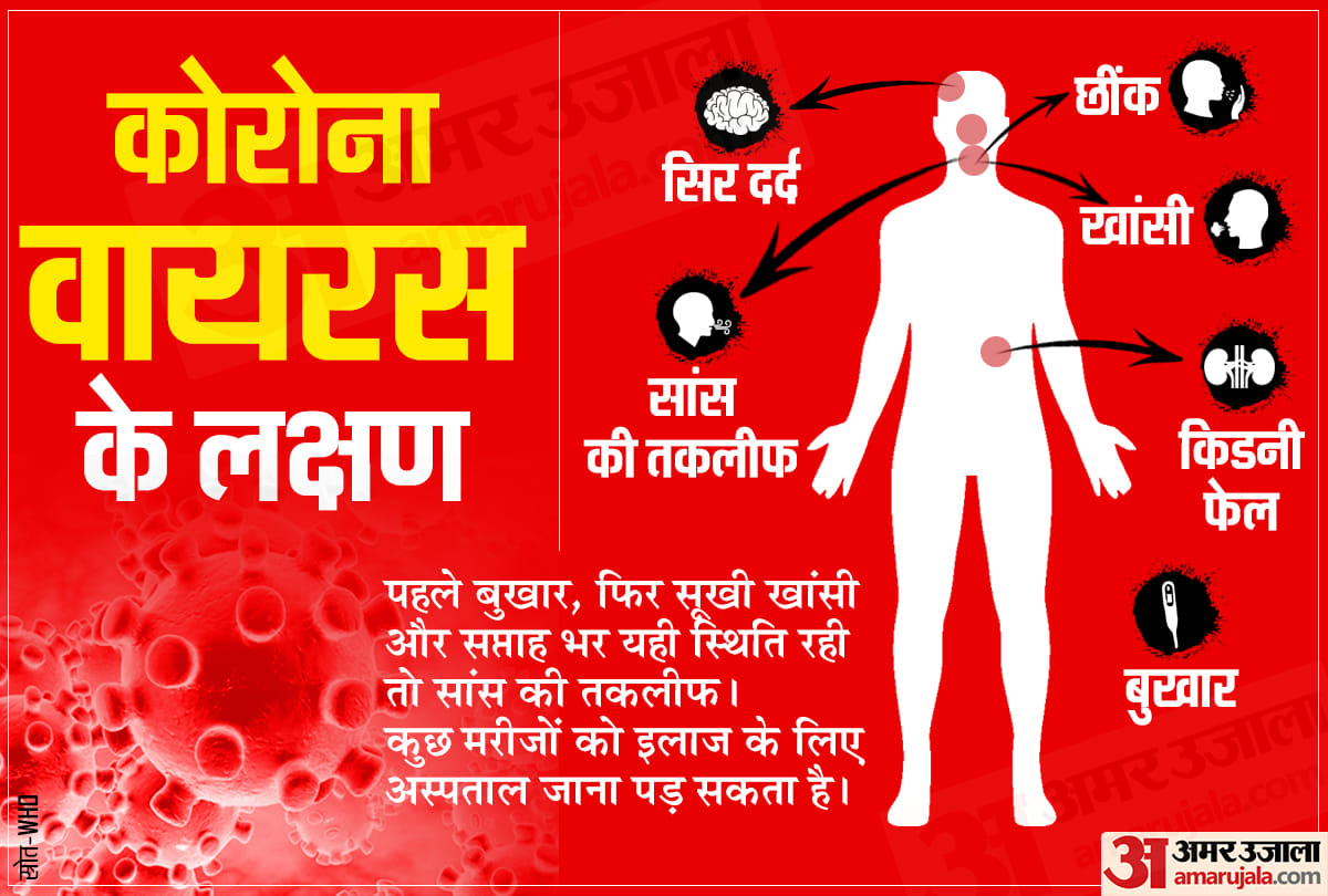 What is coronavirus symptoms treatments and death toll