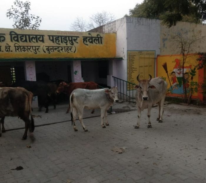 bulandshahar news
