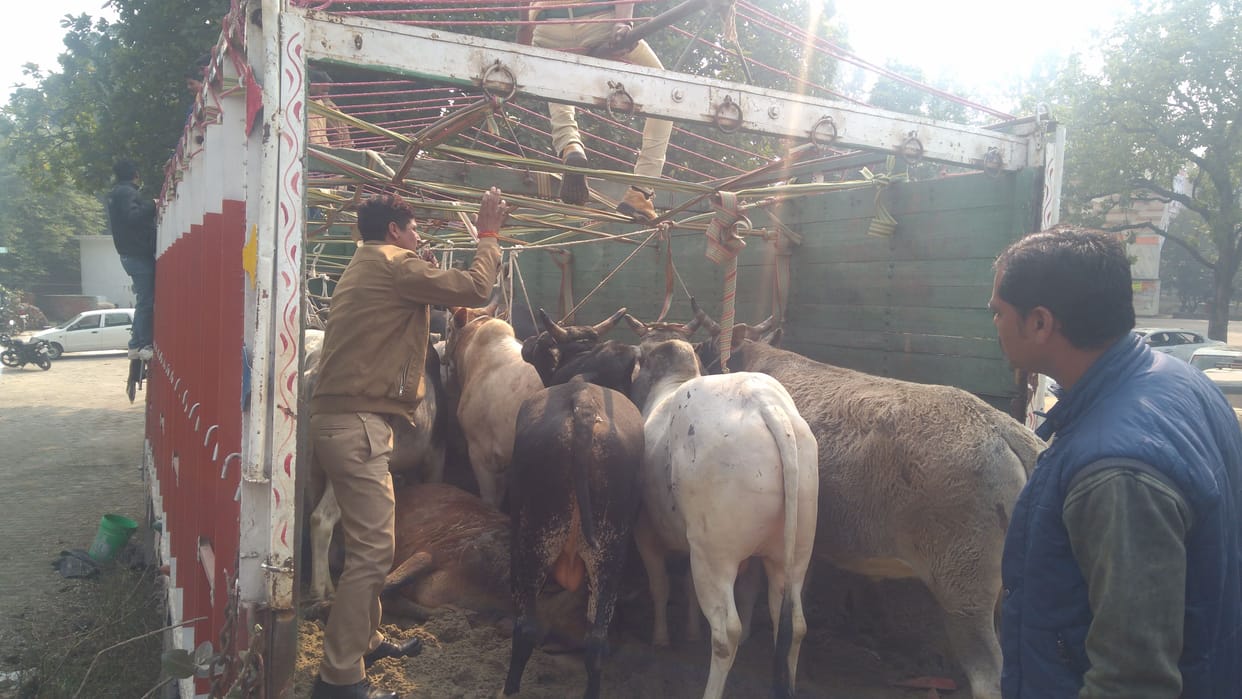 pashu taskare