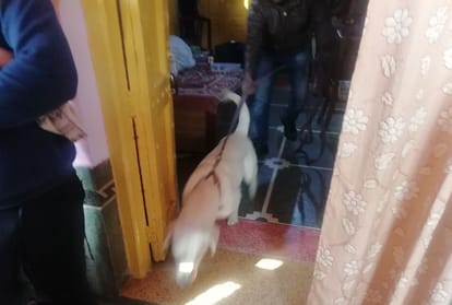 Bullion trader and his wife murdered in agra