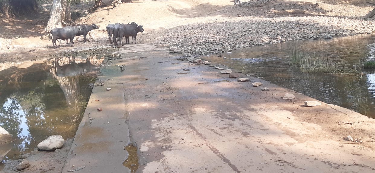 The need of bridge in Badwar,villagers are worried