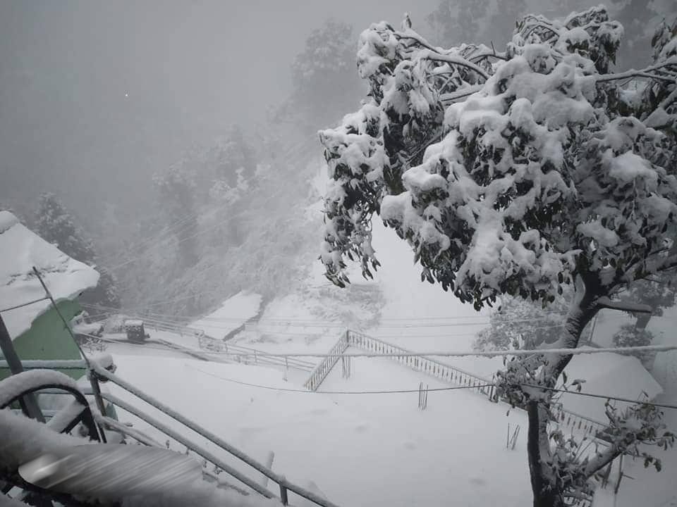Snow Blanket on Mussoorie and dhanaulti Again, Se Beautiful Visuals