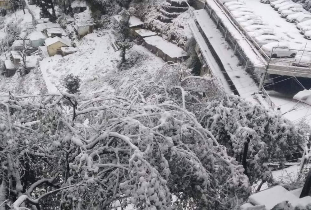 Snow Blanket on Mussoorie and dhanaulti Again, Se Beautiful Visuals