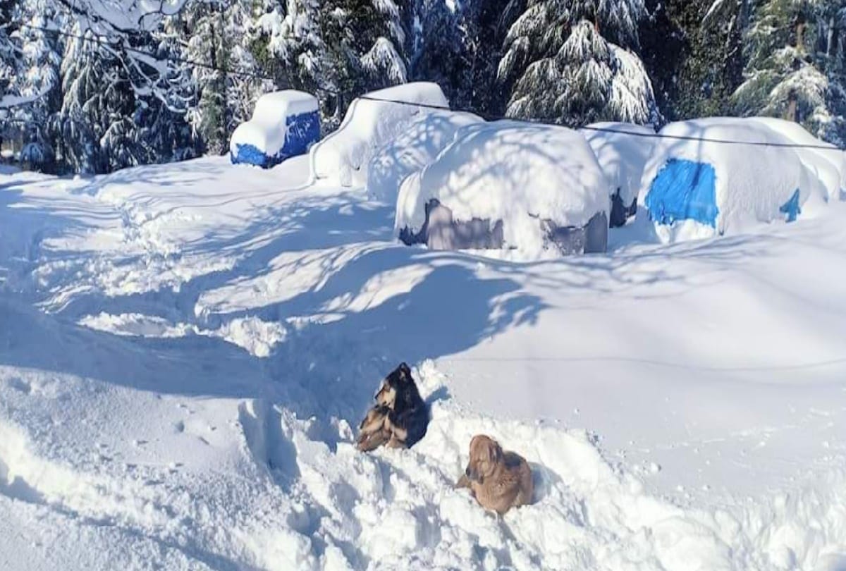 764 roads including four NH blocked due to snowfall in himachal, one dead