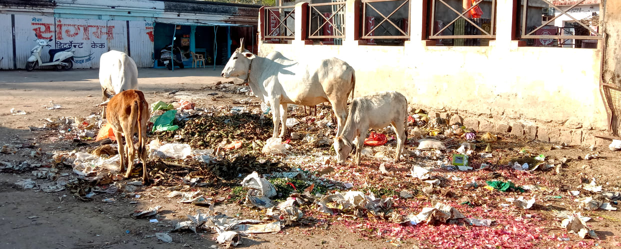 Nazhai Bazaar and Super Market could not be clean