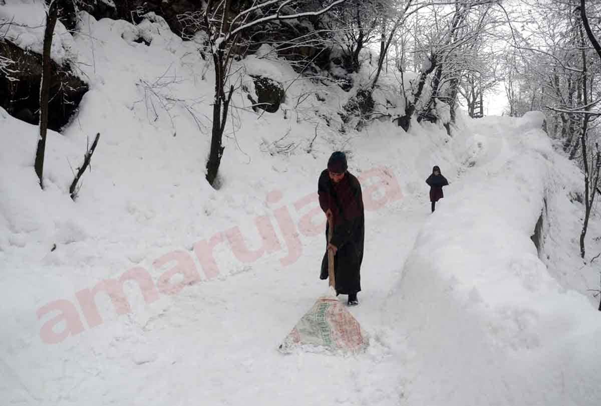 Dense fog in Jammu in February, Impact of dense fog on traffic to airlines