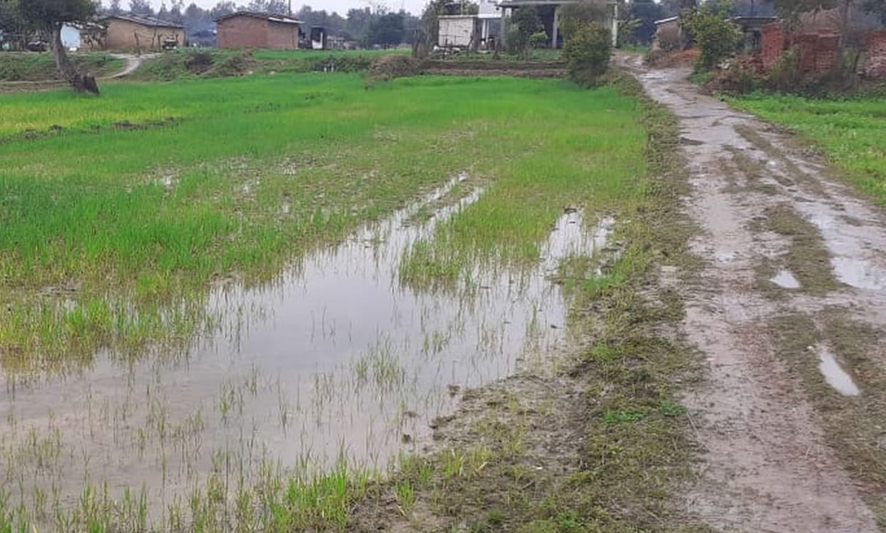 Continuous rain may hit farmers