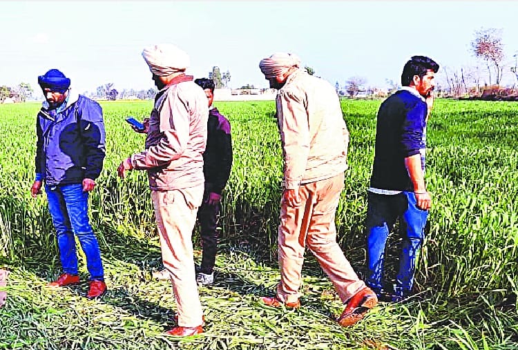 A youth of Kaithal Shot dead at Patiala of Punjab