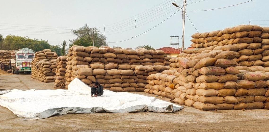 Paddy purchase halted in 39 purchasing centers