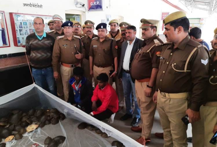 two smugglers arrested with 195 turtles in lucknow