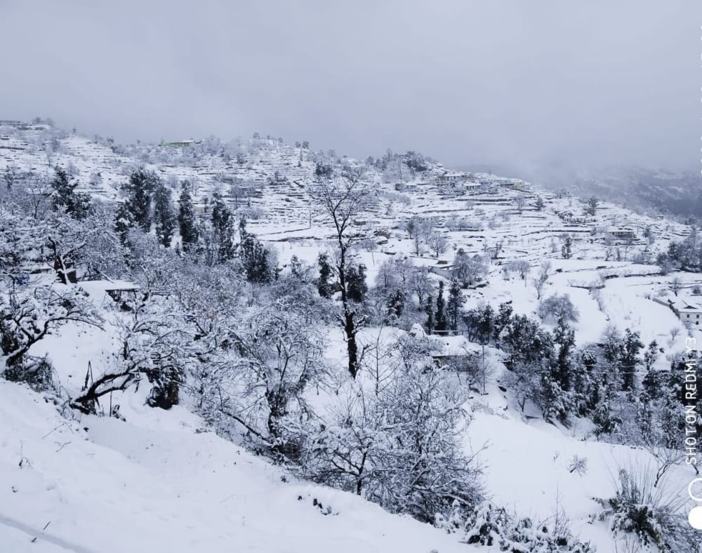 Tourists blossomed due to snowfall, increased trouble for locals