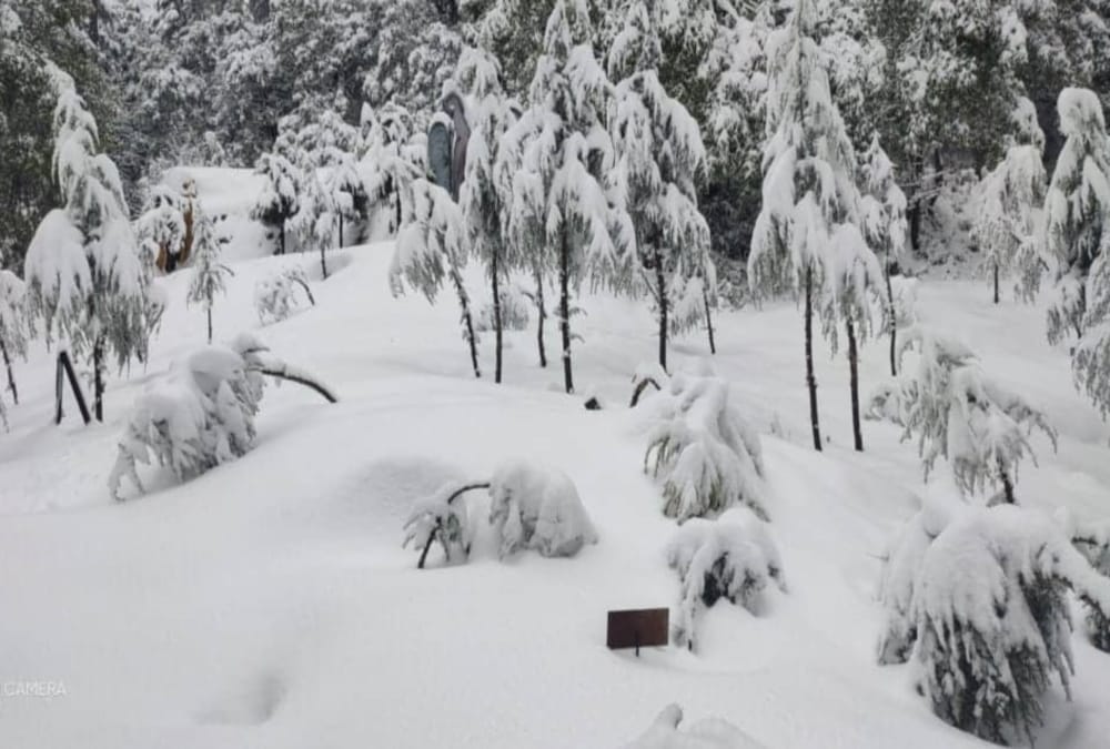 In the midst of the weather, the high peaks have lashed the icy sheet