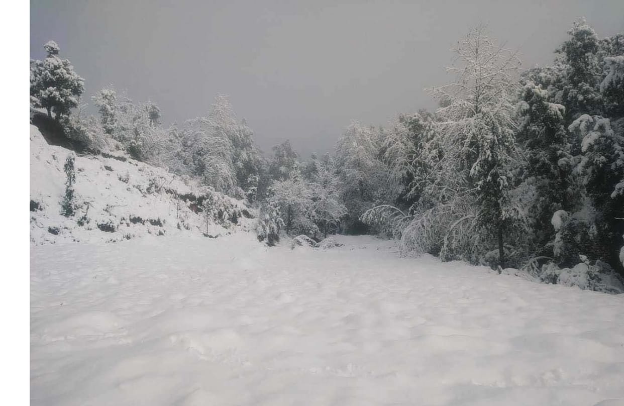 Snowfall in Devidhura region after rain