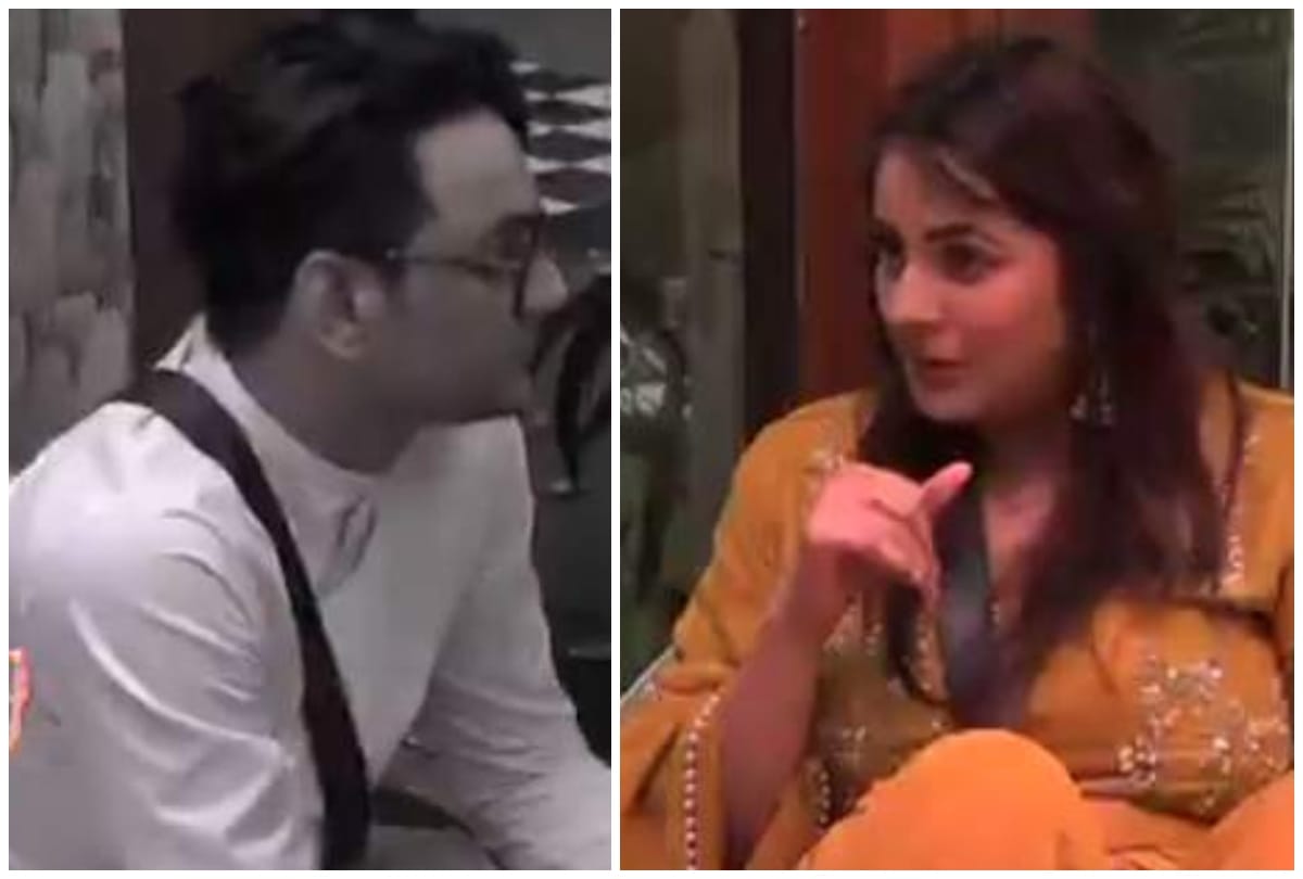 Bigg Boss 13 Vikas Gupta on Asim Riaz love affair outside