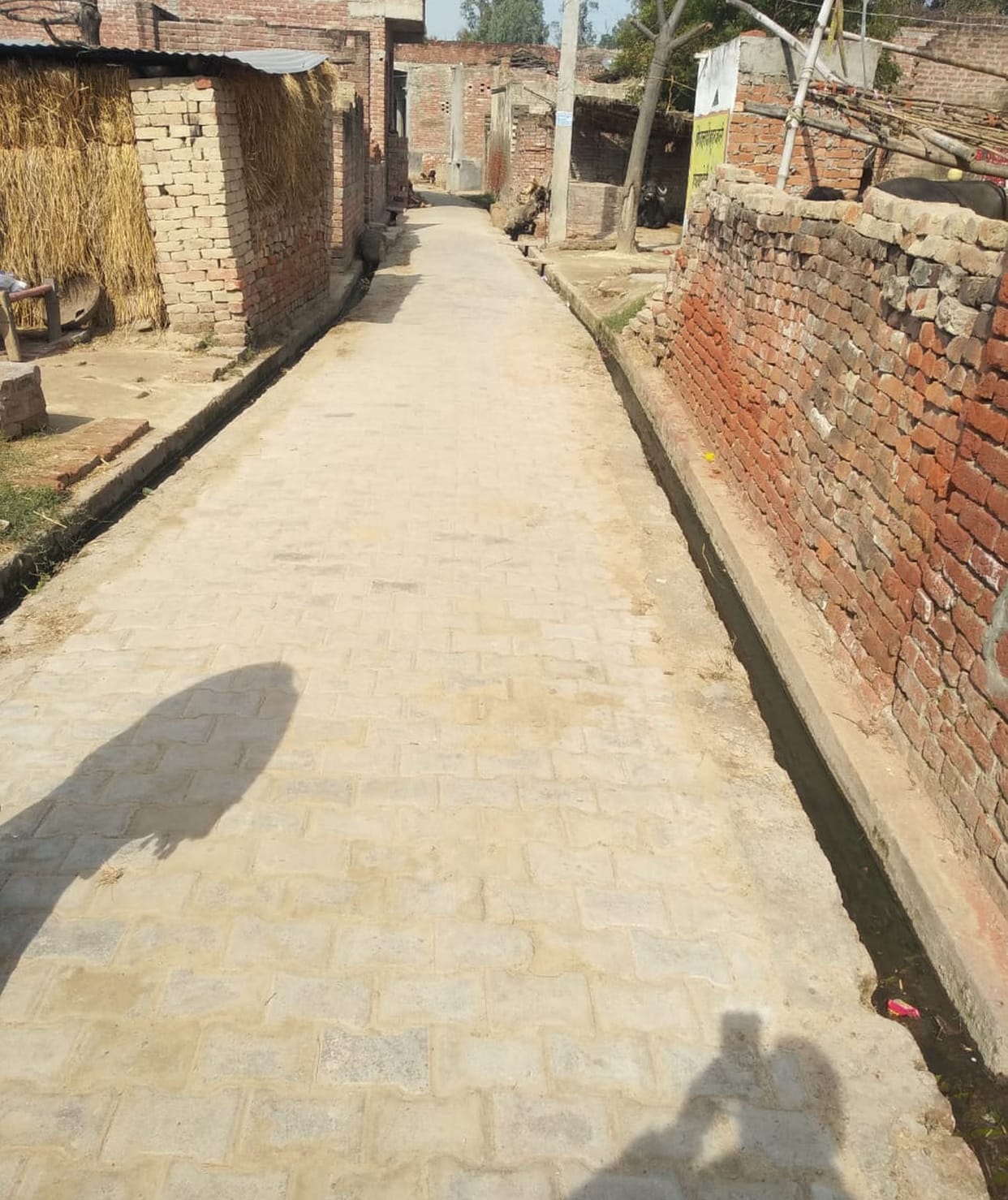 no development in vallage, civic,