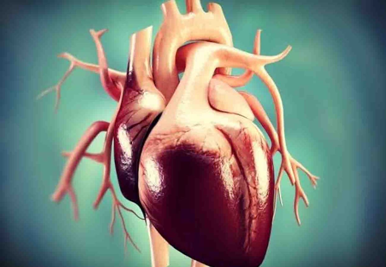 Hearing of police abuse old lady got heart attack in kanpur