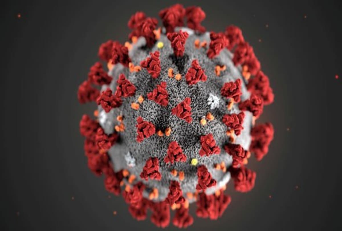 world's four most infectious corona variants, know how dangerous these are for india