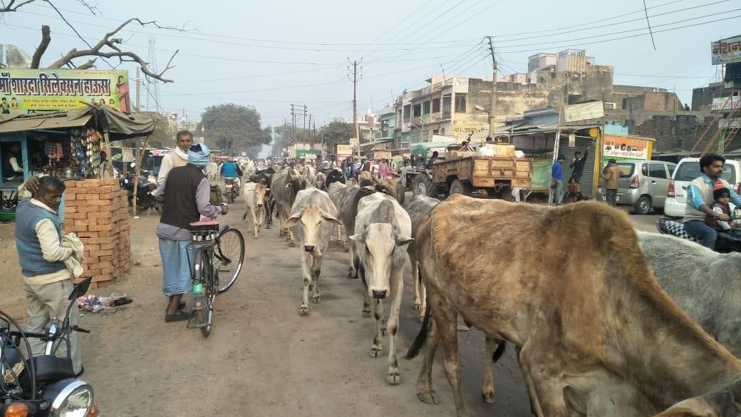 orai news
