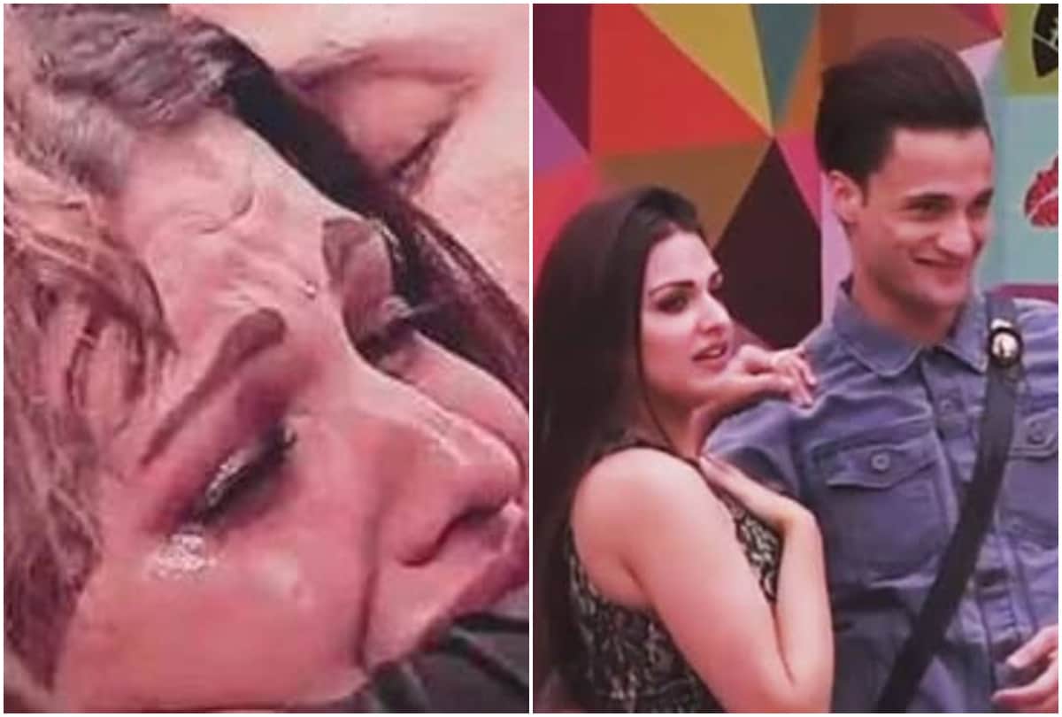 Asim Riaz And Himanshi Khurana may be breakup post sign heartbroken