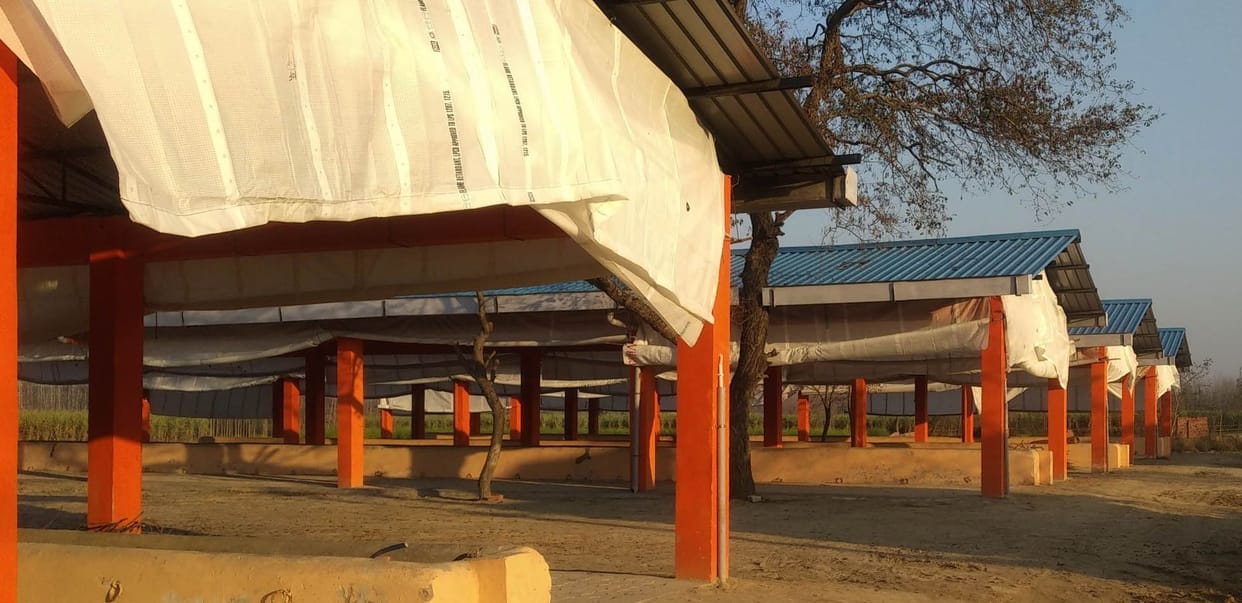 Gaushala lying idle without boundary