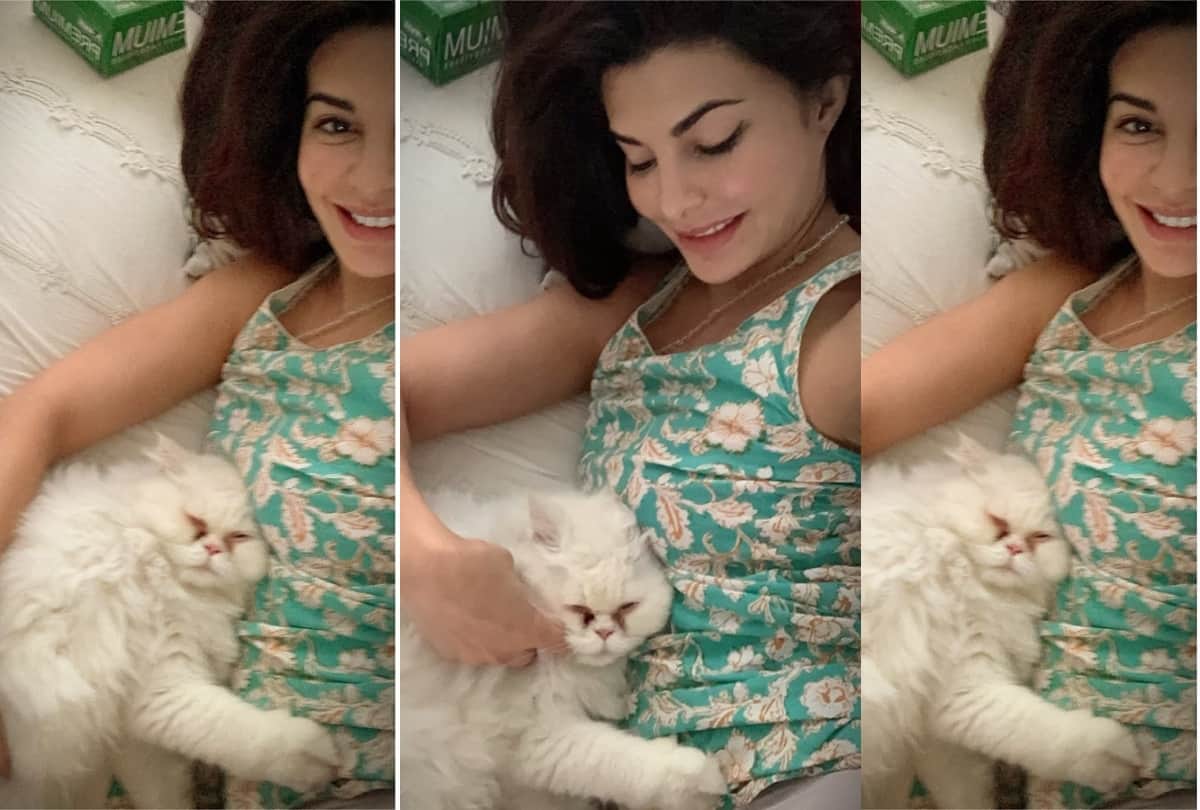 jacqueline fernandez no makeup look stuns how she pampers her skin