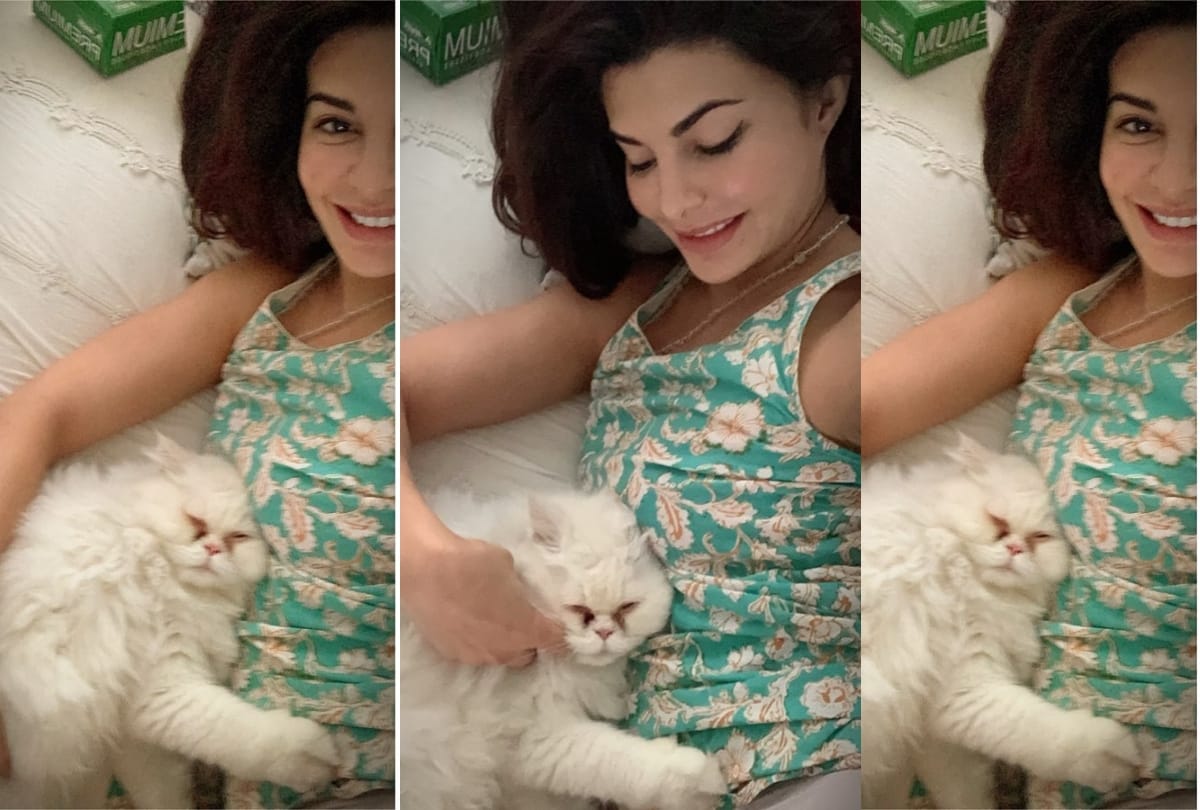 jacqueline fernandez no makeup look stuns how she pampers her skin