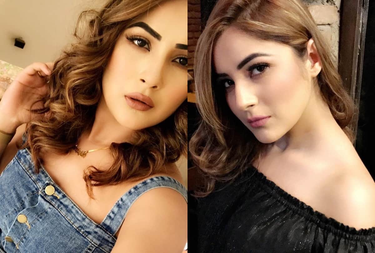 then and now shehnaz kaur gill 5 year look transformation