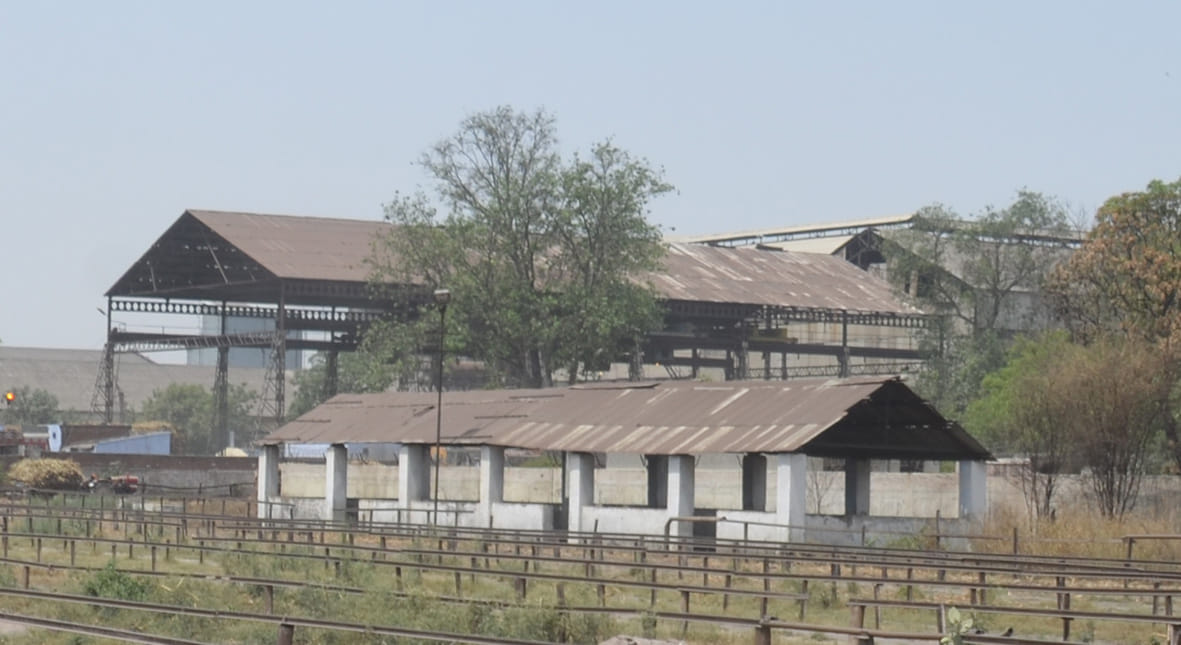 Without sugarcane supplies slips were being cut, Ramala mill lost millions
