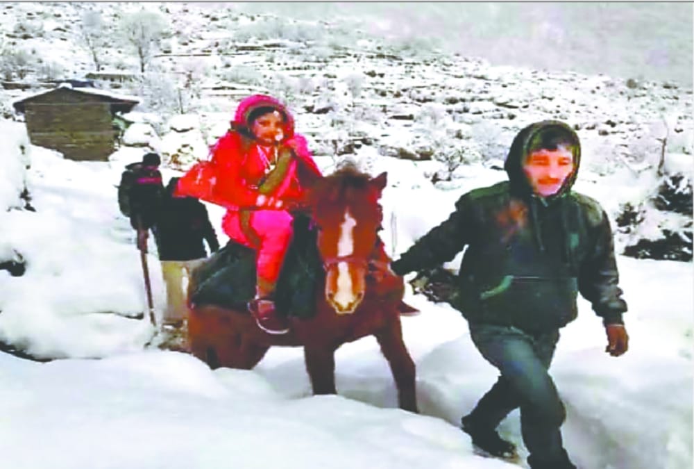 Marriage During Snowfall Groom walked Eight Kilometers with Barat in uttarakhand chamoli