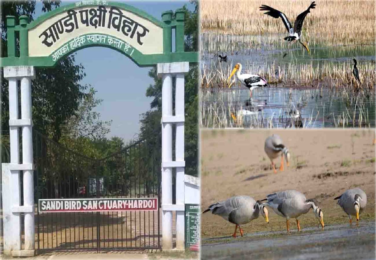 Ten Wetlands were selected across the country, Nawabganj of UP including six Wetlands