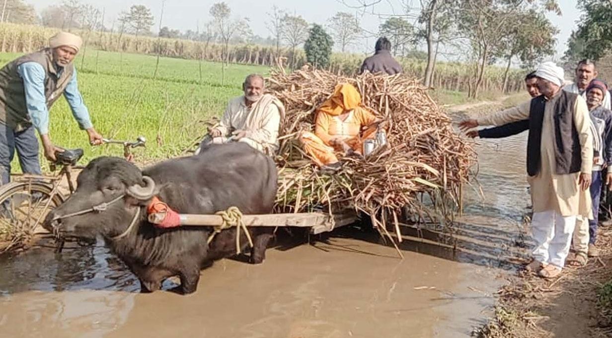 atikraman in ponds, way make mini river  due to rain water