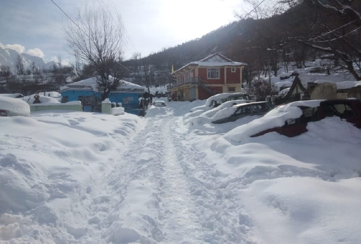 himachal weather report: fresh snowfall recorded in shimla, rohtang and high hills