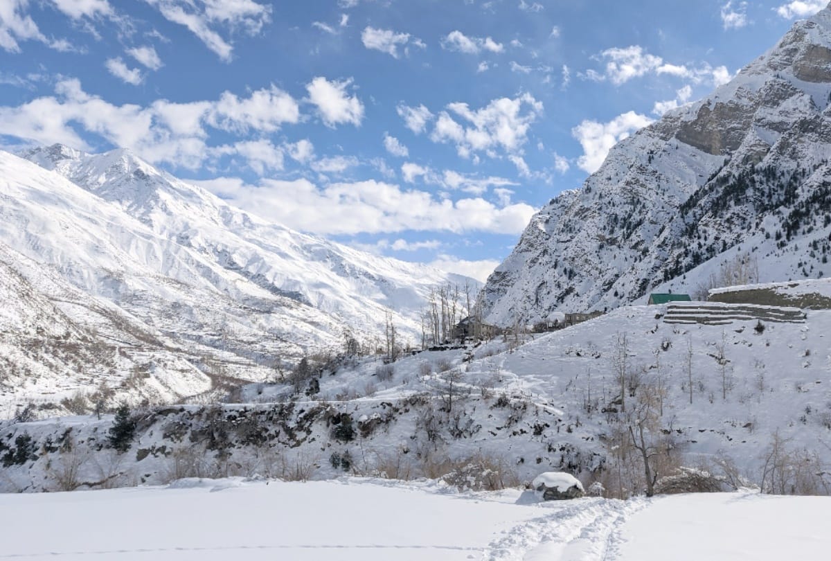 himachal weather report: fresh snowfall recorded in shimla, rohtang and high hills