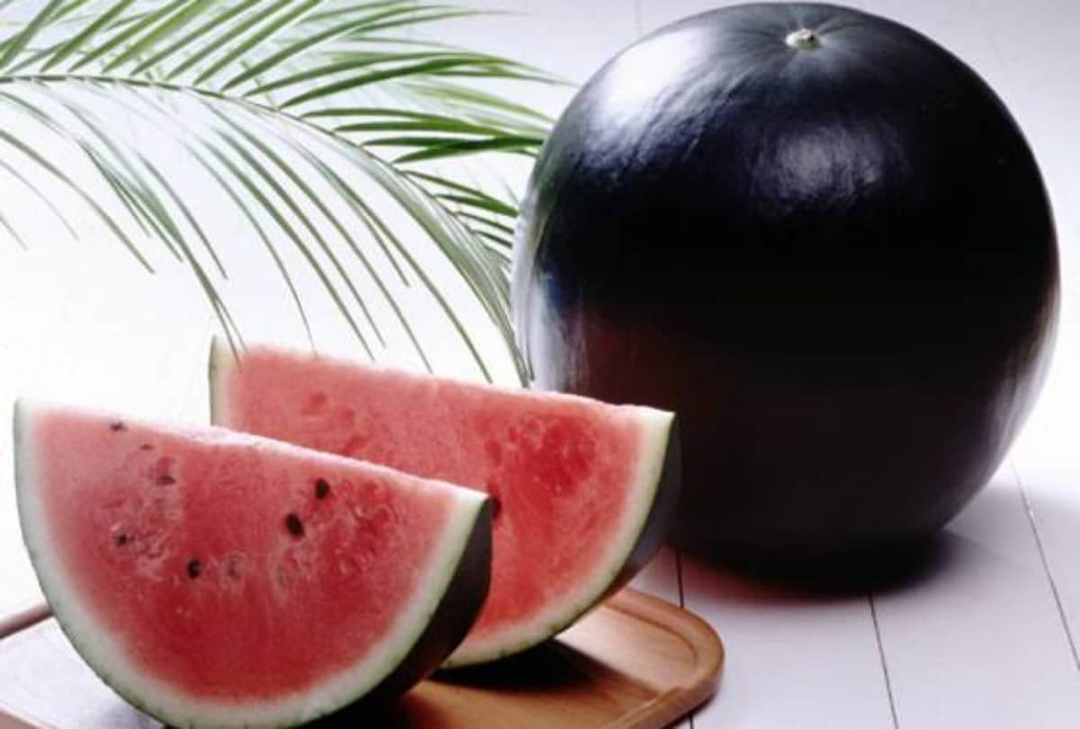 Fruit Combinations That Can Be Dangerous For Health News In Hindi