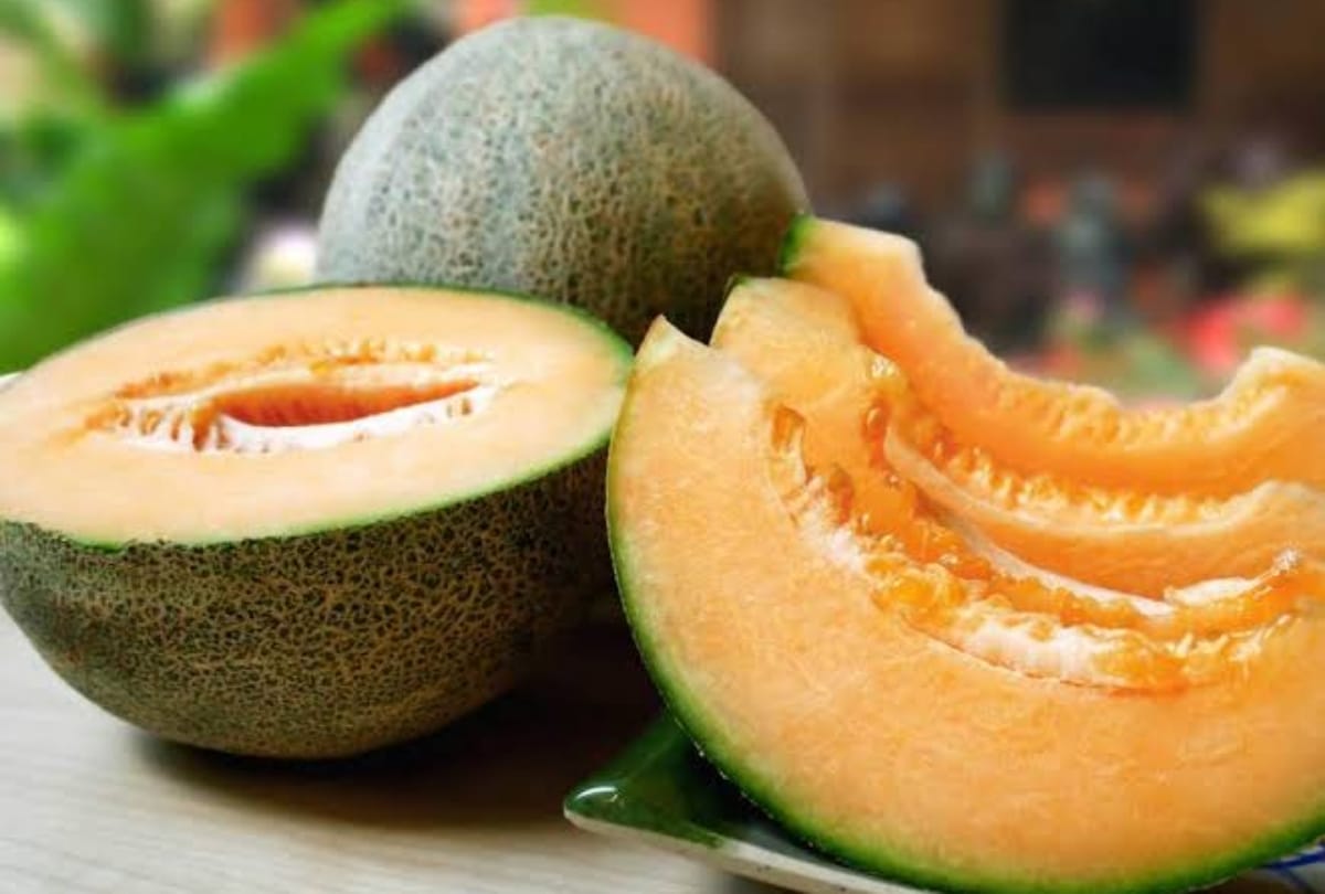 Japan two watermelons sold at 18 lakh rupees