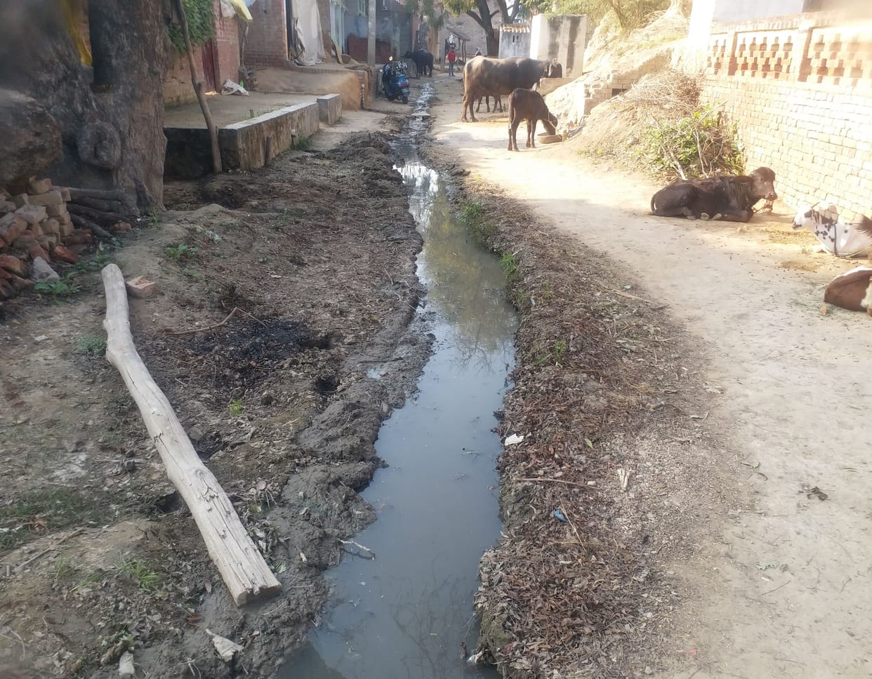 no devlopment in gandanpur