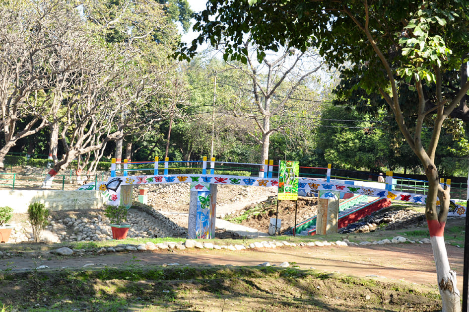 Species of birds will be seen