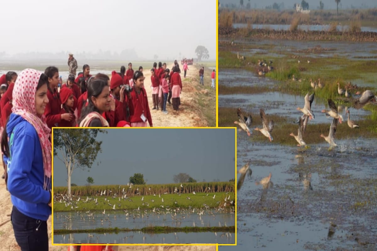 World Wetland Day 2020: school girls visit Hastinapur wildlife sanctuary during Bird Festival