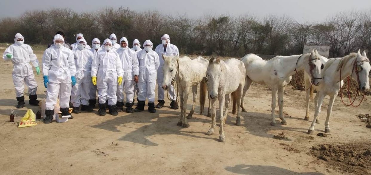 four glanders suffering godiyan killed