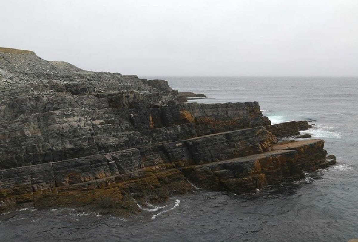 mysterious place on Earth where strange creatures lived 60 crore years ago