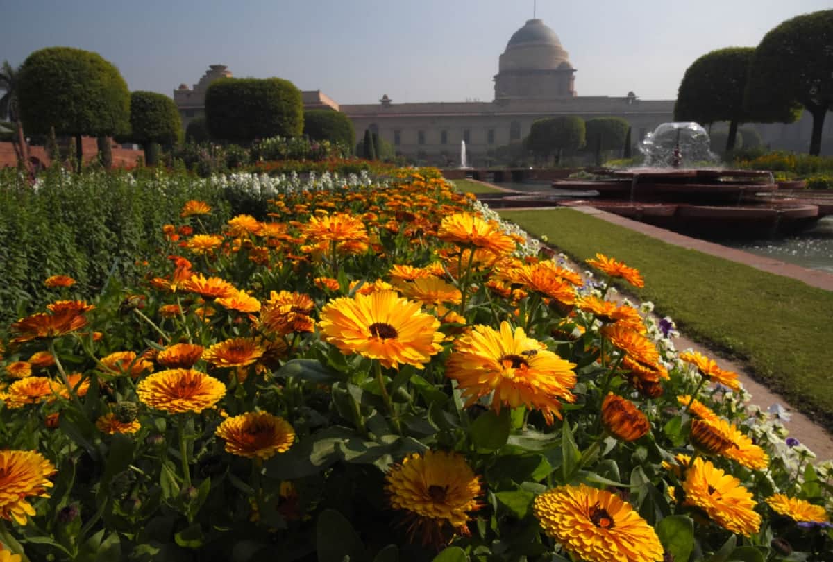 opposition said on renaming Mughal Gardens that government to focus on inflation